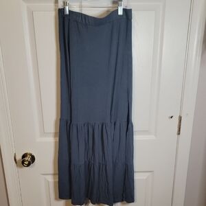 Express Blue Stretch Skirt